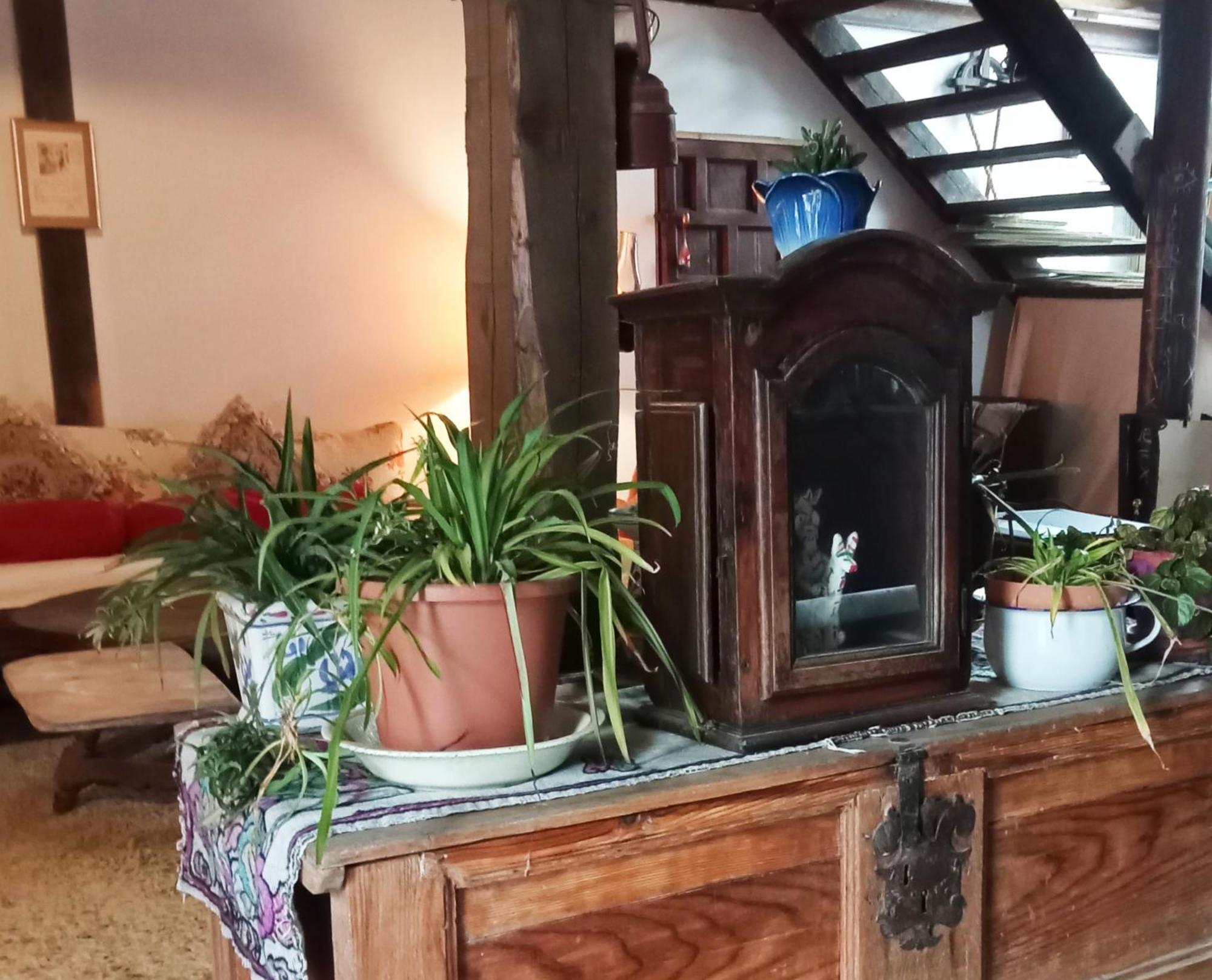 Suite En Cuadra Pajar, Casa Rural Hoz de Jaca Extérieur photo